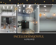 인셀덤 조이풀