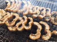 올바른장어