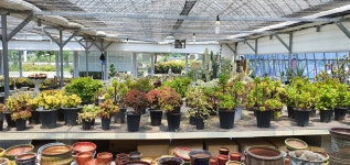 소문난다육농원