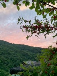 호도수꽃산장