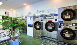 워시팡팡 셀프빨래방 삼척장호용화점