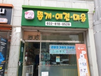 똥개애견