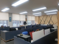 신성모터스