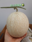 과일향 창원점