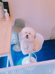 이쁘개샵