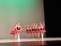 배방 볼쇼이발레학원 1호점