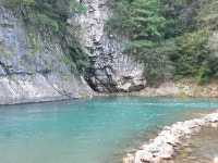 개미들솔향기야영장