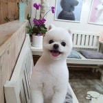 내개로와