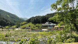 스칸디공인중개사사무소
