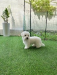 설레임청담