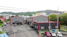 싱싱캔