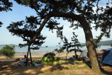 나로바다펜션