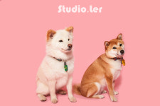 스튜디오마메야 | 스튜디오 레르