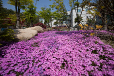 울산명성노인전문요양원