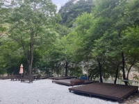 개미들솔향기야영장