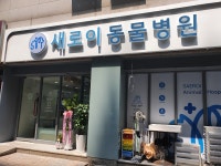 새로이동물병원