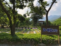 오색허브농원 캠핑장