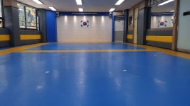 강철태권도