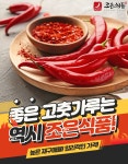 조은식품