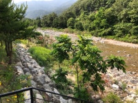 오색허브농원 캠핑장
