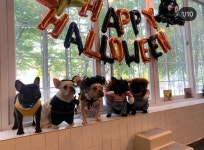 멍스토어
