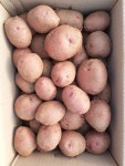 산우물농장