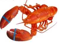 정현수산