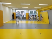 통일태권도