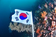 다이브투게더