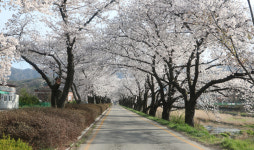 (주)조움컴퍼니 | 조움농산