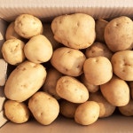 산우물농장