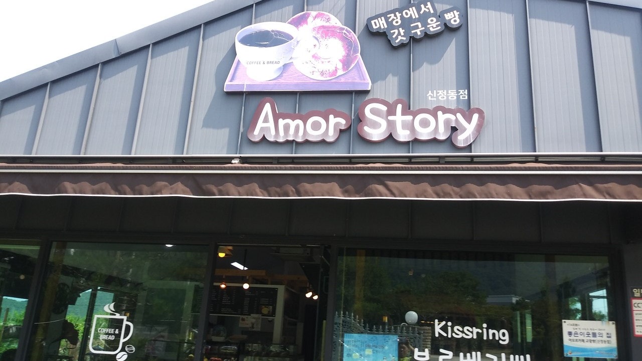 아모르