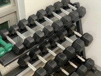 포에프 트레이닝