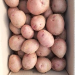산우물농장