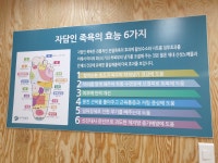 자담인 영힐링