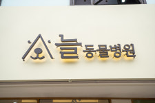 늘동물병원