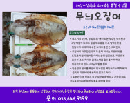 해인수산
