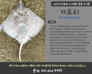 해인수산