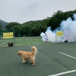 일영모자농원캠핑장