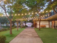 오디가개[애견카페, 애견호텔, 애견유치원, 애견돌봄]