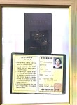 신호등회관