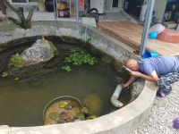 이도수산질병관리원