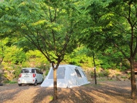 그린스톤오토캠핑장 & 펜션