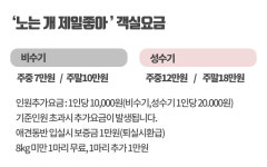 노는 개 제일좋아