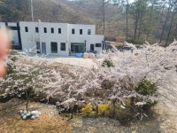 해송펜션