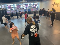 복싱 주짓수 킥복싱 팀켈리