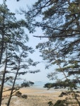 해송펜션