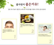 디톡스미 상대원점