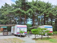 양양 솔바다 캠핑장