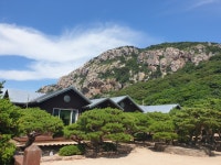 홍도유람선협업